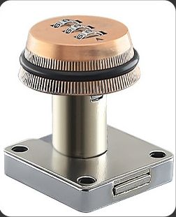 สีบรอนซ์แดง