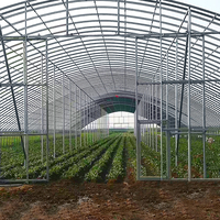 Serres agricoles et tunnels de culture en film plastique pour la culture de tomates à vendre