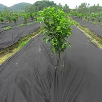 Spunbond-tela no tejida para agricultura, tejido de Color negro de alta calidad, 100%