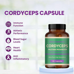 OEM/ODM Cordyceps <span class=keywords><strong>Mycelium</strong></span> Capsule Suppléments à base de plantes Booster immunitaire Cordyceps Sinensis - Product Image 2