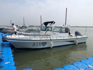 <span class=keywords><strong>Bateau</strong></span> <span class=keywords><strong>de</strong></span> pêche Grandsea neuf <span class=keywords><strong>de</strong></span> 8,5 m/28 pieds en fibre <span class=keywords><strong>de</strong></span> verre avec auvent, console centrale, <span class=keywords><strong>bateau</strong></span> rapide à vendre - Product Image 4