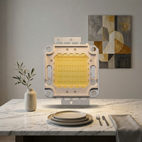 Lámparas LED Integradas de Alta Potencia 10W-100W, Fuente de Luz Blanca Cálida, Alto Brillo, Temperatura de Color 3000K/6000K, CRI 70-80
