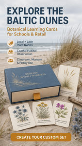 Maßgefertigte Umweltfreundliche Langlebige Familien-Lernkarten Matt Beschichtetes Papier Stabile Design-Papierbox-Verpackung für die Ostseeküste - Product Image 6