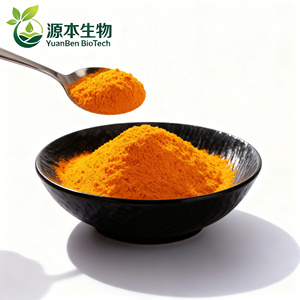 Fabrika Fiyatı Toptan Doğal %95 <span class=keywords><strong>Curcuma</strong></span> Zerdeçal Ekstresi Tozu Kurkumin Tozu Yüksek Saflıkta Zerdeçal Ekstresi - Product Image 2