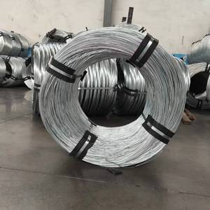 हॉट सेल 8 गेज 25 0.400 मिमी गैल्वेनाइज्ड जी स्टील वायर रस्सी के लिए प्लास्टिक कवर के साथ - Product Image 3