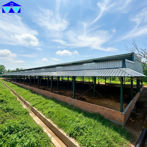 Estructura de Acero Prefabricada para Establos de Ganado, Estructura de Acero Q235B, 40 m de Vano Libre para Establos de Vacas en Senegal - Product Image 2
