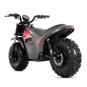 Motocicleta Todoterreno Tao Motor 2025 Nueva de 60V 2000W con Llantas Anchas para Adultos - Product Image 3