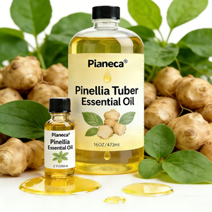 น้ำมันพินเนลเลีย เทนนัตตา ออร์แกนิคจากผู้ผลิต ขายส่ง น้ำมันหอมระเหยพินเนลเลีย เทนนัตตาบริสุทธิ์ 100% จากธรรมชาติ สำหรับอโรมาเธอราพีและผลิตภัณฑ์บำรุงผิว จำหน่ายจำนวนมาก - Product Image 1