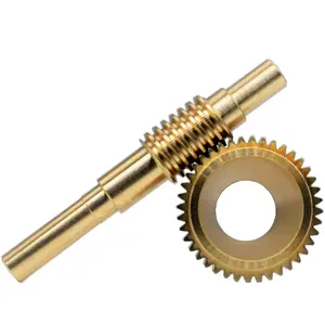 High precision Customized cnc machined Brass Custom Worm Gear Parts 2 Lead 0.8 Module