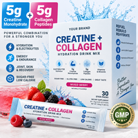 Creatine Monohydrate Collageen Peptide Hydratatie Drinkmix Suiker Vrij Elektrolyten Poeder Stick Pack Private Label Aangepaste Smaak