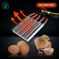 Chauffage PTC isolé 110V 1500W, élément chauffant céramique pour incubateur de volailles, surface de chauffage sécurisée