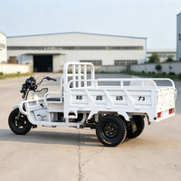 Tricycle cargo à essence Loncin 150cc, 2 places, possibilité d'ajouter un abri contre la pluie, économique, durable, tricycle à moteur pour le transport de marchandises
