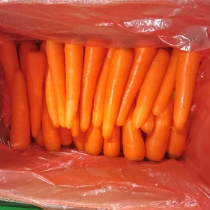 Récolte de carottes Qualité supérieure Carottes fraîches en gros Prix bon marché Légumes naturels sains - Product Image 4