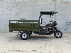 Tricycle cargo ouvert à essence 200cc, 3 roues, moto à trois roues à essence, 50-70 km/h, pour livraison agricole - Vente en gros - Product Image 1