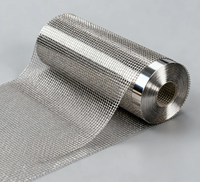 Maille de fil d'acier inoxydable personnalisable (tissage simple) avec pliage pour filtre à sable et gravier dans une machine à tamisage
