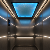 Pièces d'ascenseur pour villas et appartements de luxe : cabine, murs en verre panoramique, cadre en acier inoxydable, éclairage de plafond LED, silencieux