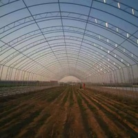 Grande serre pour la culture de légumes Solaires en polycarbonate et poulailler Équipement agricole pour jardins et fermes