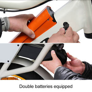 TXED nuevo modelo bicicleta eléctrica 1000W motocicleta eléctrica E bicicleta con 2 baterías - Product Image 4