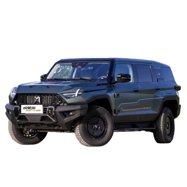 Mengshi m Terrain