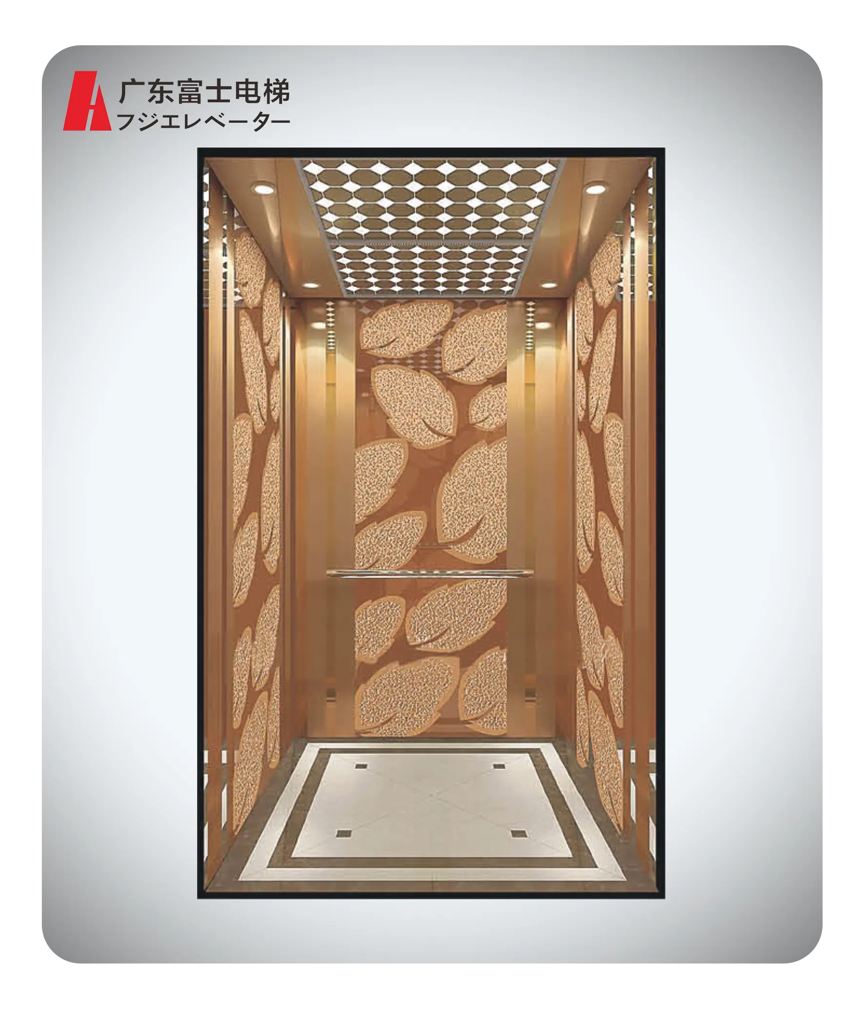 Gd-fuji thang máy AC thang máy hành khách thang máy vvvf thang máy phòng nhỏ