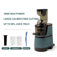 Stainless Steel Electric Slow Fresh Smoothie Fruit Citrus Orange Extractor Blender Slow Juicer Machine