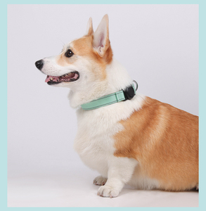 <span class=keywords><strong>Collar</strong></span> de Perro Ajustable, Suave y Reflectante con AirTag Anti-Escape de Nailon de Lujo Moderno - Product Image 6