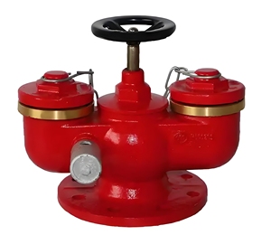 Robinet à bille en laiton DN100 pour raccordement siamois souterrain manuel PN16 - Product Image 1