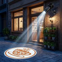 Projecteur laser LED haute puissance 200W 300W étanche pour extérieur, publicitaire, avec projection de logos et motifs coucher de soleil/étoiles
