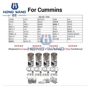 Repuestos de Motor para CUMMINS, CATERPILLAR, PERKINS, HINO, MITSUBISHI, KUBOTA, Kit de Reparación y Reacondicionamiento - Product Image 6
