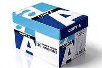 Papel Térmico para Impresora A4 sin Cinta, 4 Rollos, 8.3x11.7, Compatible con A285M PD-A4 M08F N80 M834