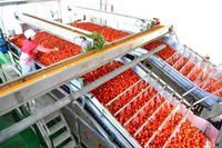 Ligne de production industrielle de tomates en conserve LWT, machine à sauce tomate, ligne de traitement de concentré pour usine de conserves