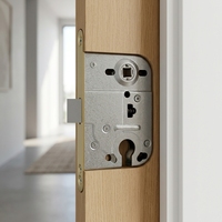 Corps de serrure à mortaise de porte d'entrée en acier inoxydable de style russe avec ingénierie de précision