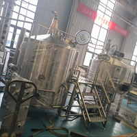 Chaîne de brassage de 1000 L, chaudière de brassage à chauffage direct de 10 BBL, système de brasserie de 10 HL