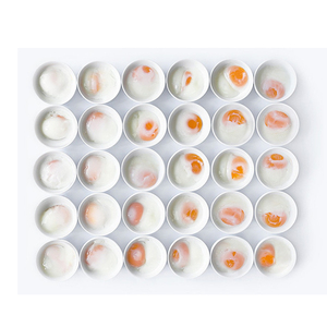 Cocedor de Huevos Inteligente Comercial de Alta Eficiencia, Multifuncional para Huevos Cocidos Blandos, Duros y Onsen - Product Image 6