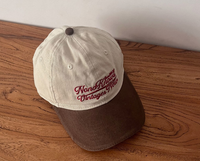Gorra de Béisbol de Dos Tonos con Logotipo Personalizado, Gorras Clásicas de Franela con Lazos de Puntos, Deportivas y Formales, Unisex
