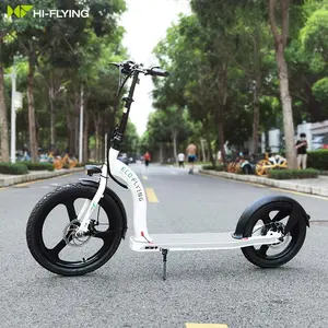 Wholesale China factory OEM ODM 350W 10Ah off road electric scooter big wheel folding e scooters