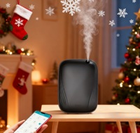 Diffuseur de parfum d'ambiance électronique de luxe sans eau, pompe à air, machine diffuseur de senteur domestique, huile aromatique personnalisée de qualité supérieure pour toilettes