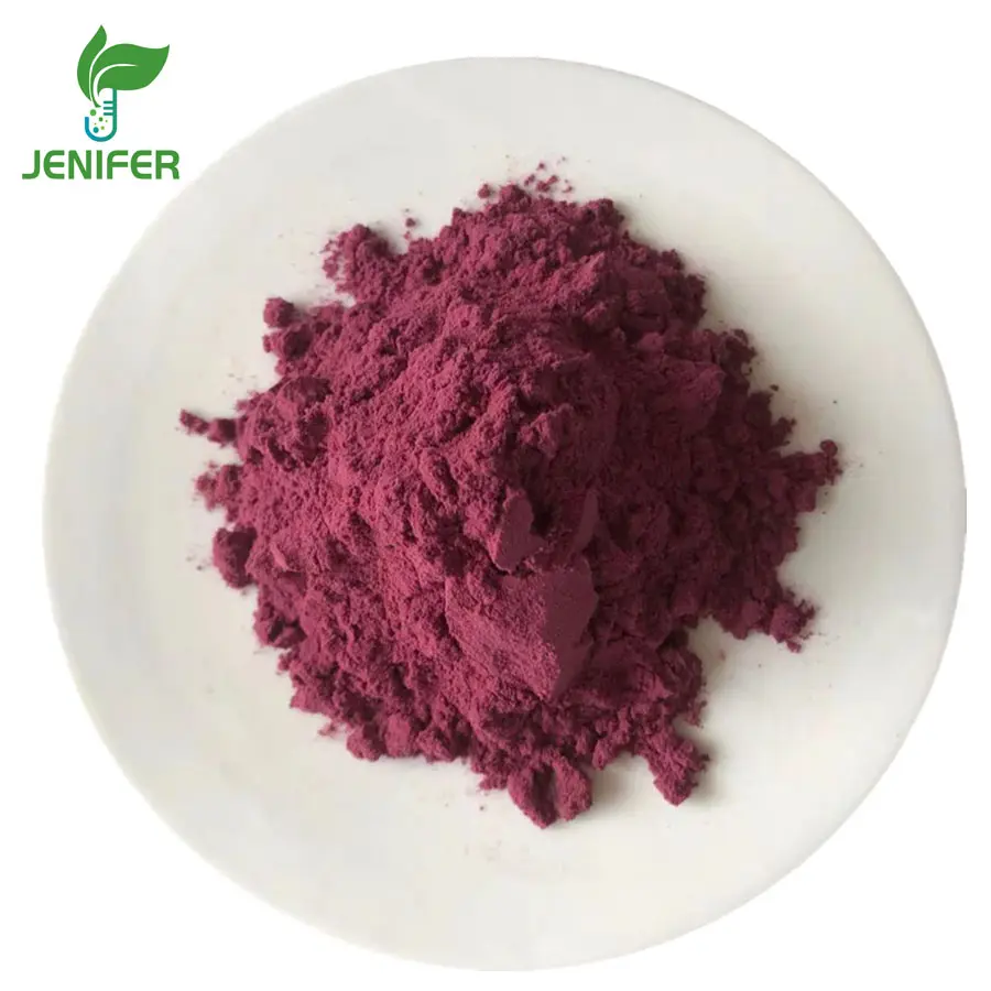 Bay berry Powder Pure Myricetin Myrica rubra Bay berry Bark Extract Pulver Wachs beer fruchtsaft pulver