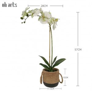 Orquídea de Estilo Moderno, Tacto Real, Impresión 3D, Maceta de Tela, Flores Artificiales Decorativas para Decoración Interior y Exterior - Product Image 3