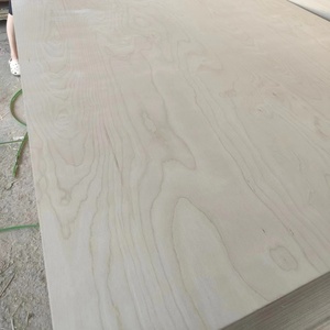 4X12 3mm 6mm 18mm <span class=keywords><strong>3</strong></span> <span class=keywords><strong>4</strong></span> Contreplaqué 4x8 Pakistan Marine <span class=keywords><strong>Prix</strong></span> Bouleau Peuplier Eucalyptus Contreplaqué 18mm Feuilles - Product Image 5