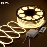 Bande lumineuse LED néon 110V-220V AC, flexible, IP65, RGB, certifiée RoHS, contrôle automatique, 5m, utilisation intérieure/extérieure
