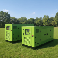 Générateur Diesel Haute Efficacité 30kW 37.5kVA à Cuivre Pur, Sans Balais, Silencieux, Source d'Énergie pour Usage Domestique, Minier et de Location