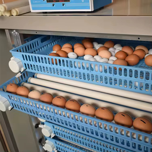 Fabricant chinois d'incubateurs à œufs de poulet entièrement automatiques, machine d'incubation d'œufs d'autruche - Product Image 4