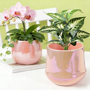 Maceta de Cerámica Esmaltada para Suculentas, Estilo Nórdico Minimalista y Creativo, Ecológica, Duradera, para Uso en Interiores, con Acabado Iridiscente - Product Image 3