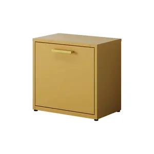 Sell top supplier New arrival Concise style Shoe Cabinet home furniture fashion living room design