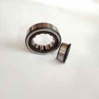 Roulement de transmission automobile à rouleaux cylindriques à une rangée NJ305 NJ305ECP