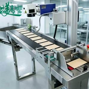 Graveur laser UV à alimentation par pagination réglable avec module de codage QR pour les emballages alimentaires composites - Product Image 3