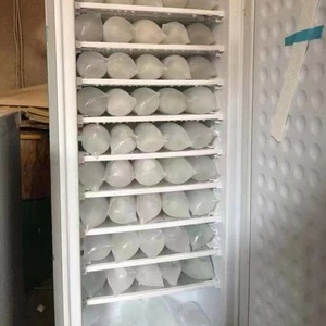 198L AC 220V <b>Ice</b> Block Upright Freezer 11/7 Layers Commercial Solar Gel Battery 70kg/24 Hours DIY <b>Maker</b> 7layers Commercial Solar - Product Image 5