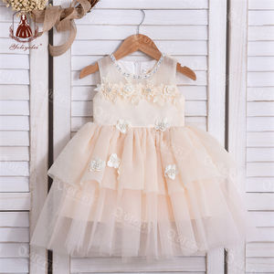 Yoliyolei Princess Dress Corpetto in pizzo a forma di V Applique Kids Summer Baby Dress abiti da ballo Vestiti per ragaze spinnole - Product Image 2