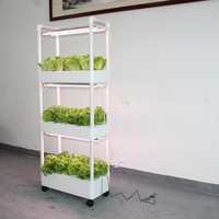 Système de jardin hydroponique vertical intérieur à deux couches Fabricant de base de vente à l'exportation comprenant une ferme à pompe pour la culture domestique